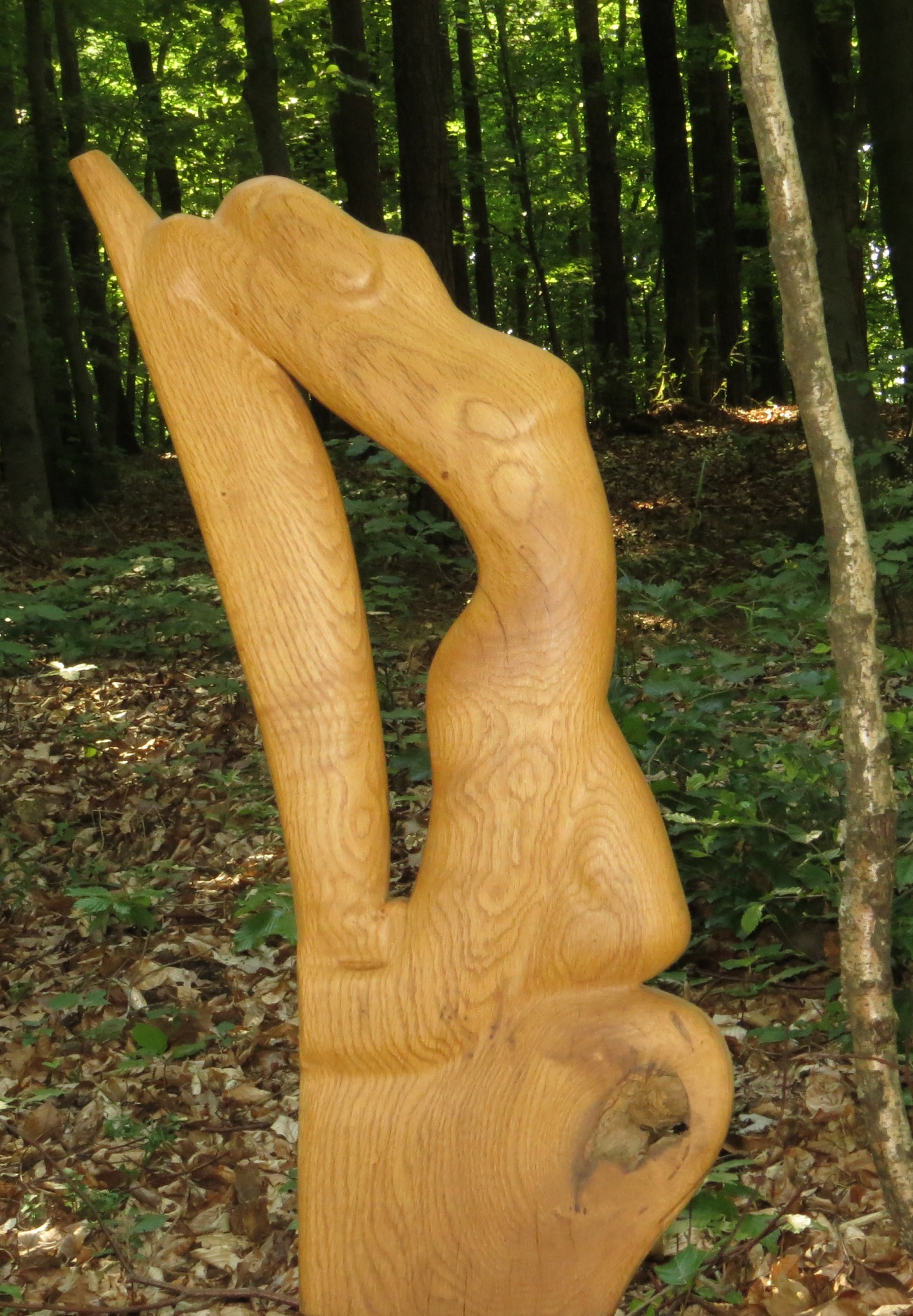 Gymnastic Girl 3 - Holzfigur Relieffigur von Holzbildhauer Hans-Ulrich Wartenweiler