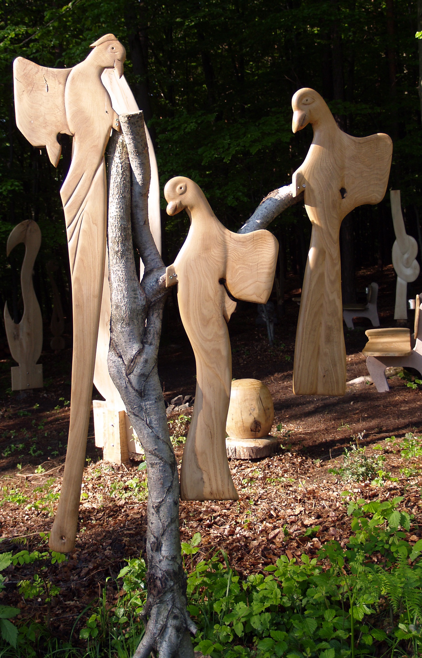 Vögel - Natürliche Formen, Holzskulpturen, Holzobjekte, Holzfiguren, Holzdesign - Skulpturenwald in Mühlgraben, Hans-Ulrich Wartenweiler