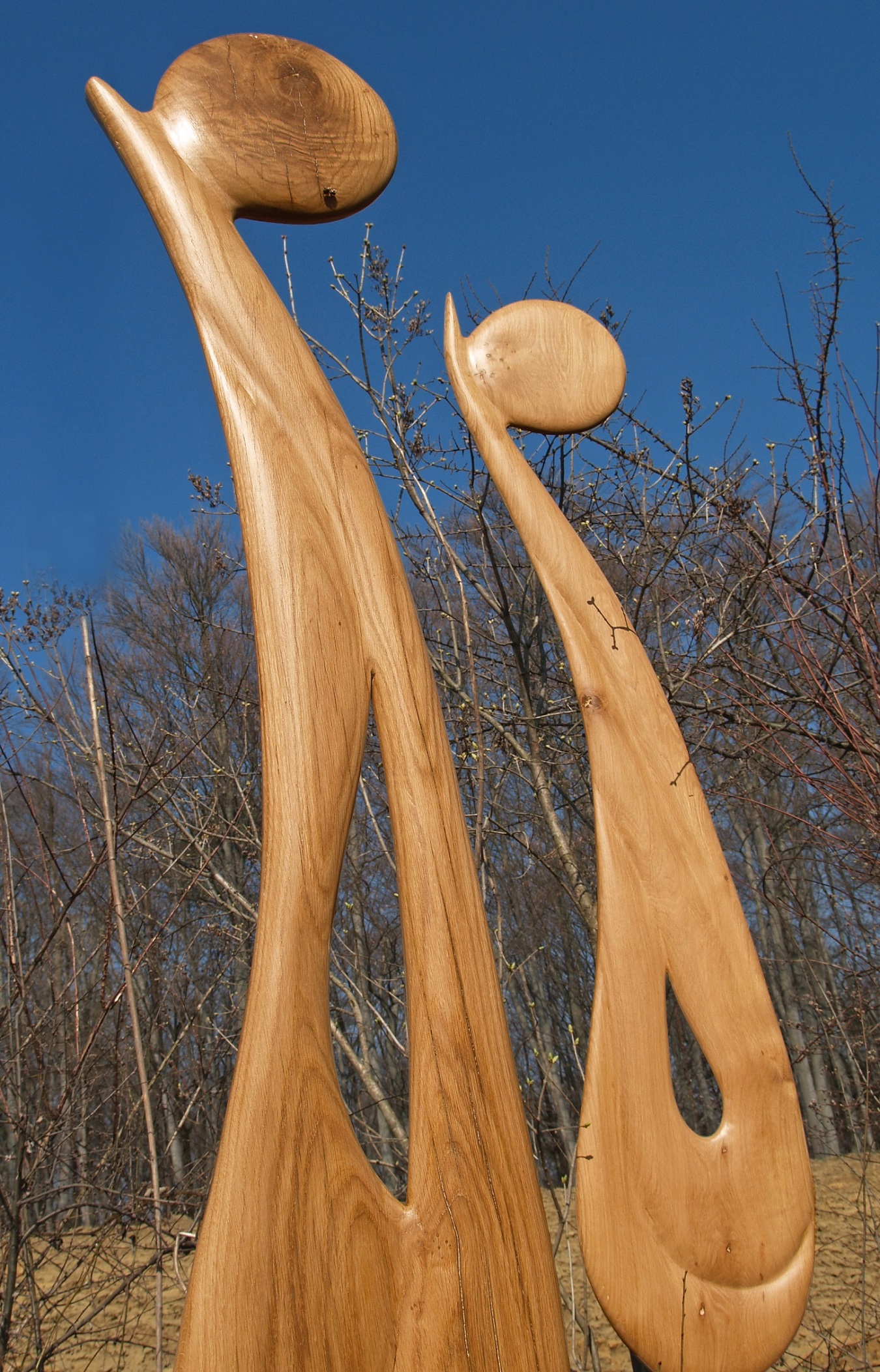 Spiralopjekte - Holzskulptur-Archiv von Skulpturenwald Hans-Ulrich Wartenweiler - Holzobjekte, Holzfiguren, Holzdesign